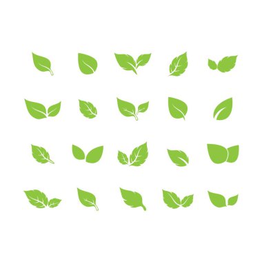 Yaprak logosu vektör tasarımı