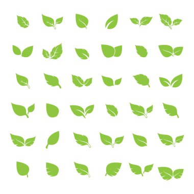 Yaprak logosu vektör tasarımı