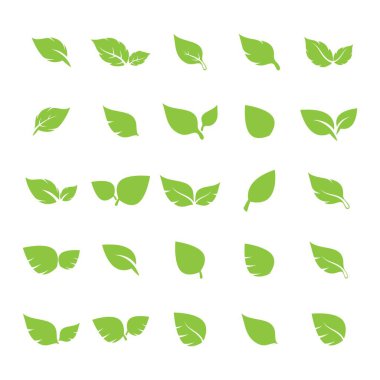 Yaprak logosu vektör tasarımı
