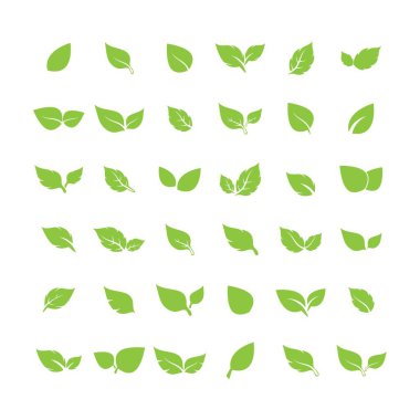 Yaprak logosu vektör tasarımı