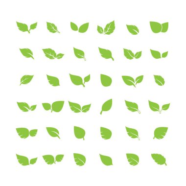 Yaprak logosu vektör tasarımı