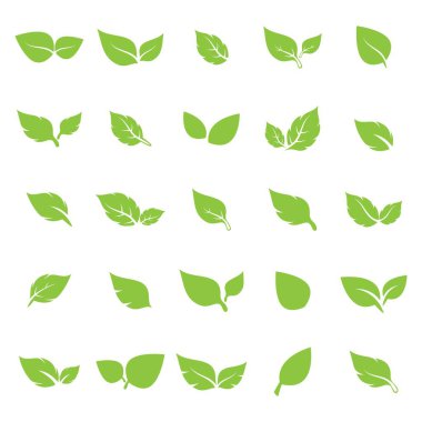 Yaprak logosu vektör tasarımı