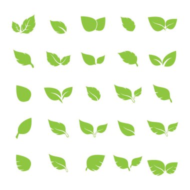 Yaprak logosu vektör tasarımı