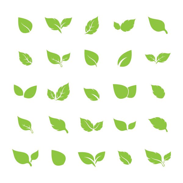 leaf logo icon vector design