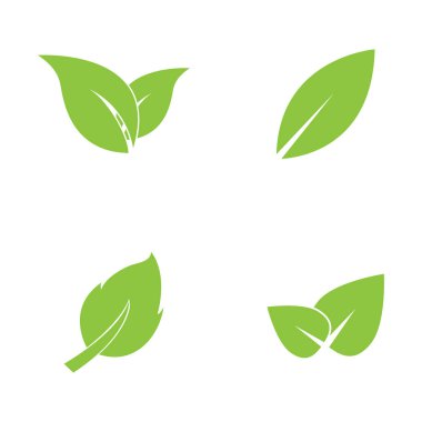 Leaf leaves logo green vector  image
