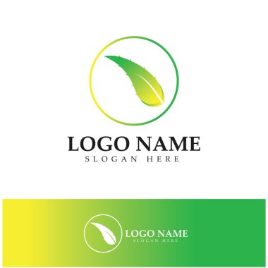 aloe vera logo design icon vector