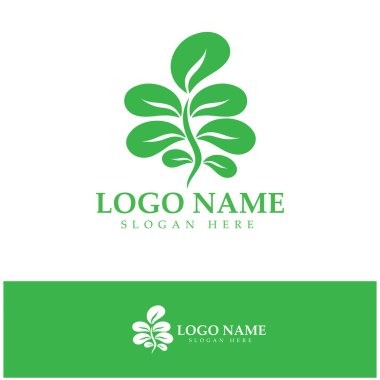 yeşil moringa yaprağı logosu, bitkisel malzemeler için, moringa çiftçiliği, sağlık, tıp endüstrisi, güzellik, terapi, konsept tasarım vektör resimleme şablonu modern bir konsept ile