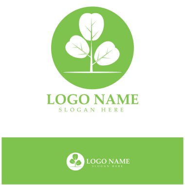 yeşil moringa yaprağı logosu, bitkisel malzemeler için, moringa çiftçiliği, sağlık, tıp endüstrisi, güzellik, terapi, konsept tasarım vektör resimleme şablonu modern bir konsept ile