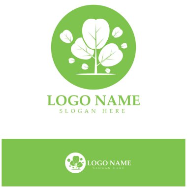 yeşil moringa yaprağı logosu, bitkisel malzemeler için, moringa çiftçiliği, sağlık, tıp endüstrisi, güzellik, terapi, konsept tasarım vektör resimleme şablonu modern bir konsept ile