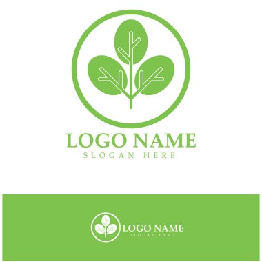 yeşil moringa yaprağı logosu, bitkisel malzemeler için, moringa çiftçiliği, sağlık, tıp endüstrisi, güzellik, terapi, konsept tasarım vektör resimleme şablonu modern bir konsept ile