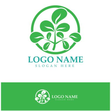 yeşil moringa yaprağı logosu, bitkisel malzemeler için, moringa çiftçiliği, sağlık, tıp endüstrisi, güzellik, terapi, konsept tasarım vektör resimleme şablonu modern bir konsept ile