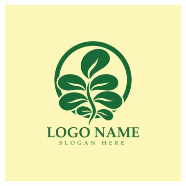 yeşil moringa yaprağı logosu, bitkisel malzemeler için, moringa çiftçiliği, sağlık, tıp endüstrisi, güzellik, terapi, konsept tasarım vektör resimleme şablonu modern bir konsept ile