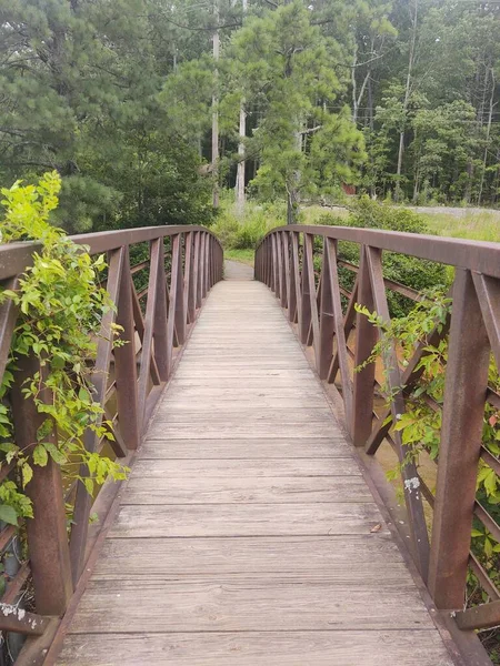 Wooden Bridge River Green Foliage — 스톡 사진