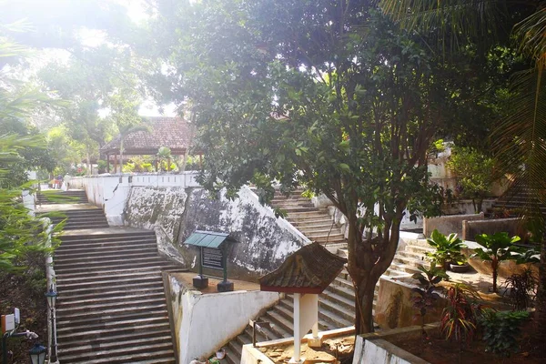 landscape view of stairs in a historical building 
