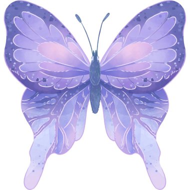 Güzel Kelebek etiketi ve resimli.