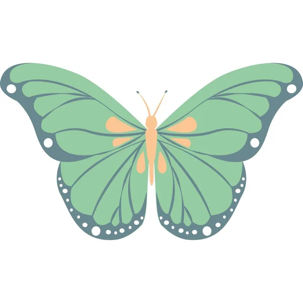 beautiful Butterfly sticker with illustration images.
