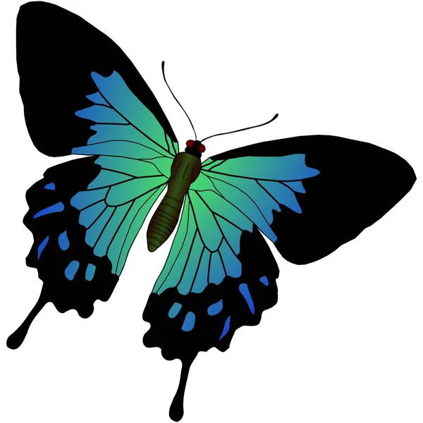 Bellissimo Adesivo Farfalla Con Immagini Illustrazione — Foto Stock