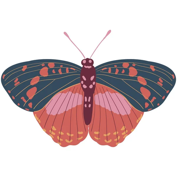 Piękna Naklejka Motyl Ilustracjami Zdjęcia — Zdjęcie stockowe