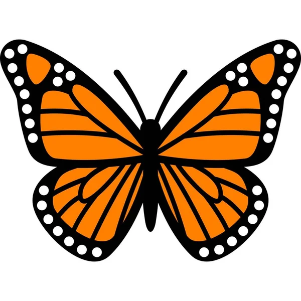 Beautiful Butterfly Sticker Illustration Images — Stock Photo, Image