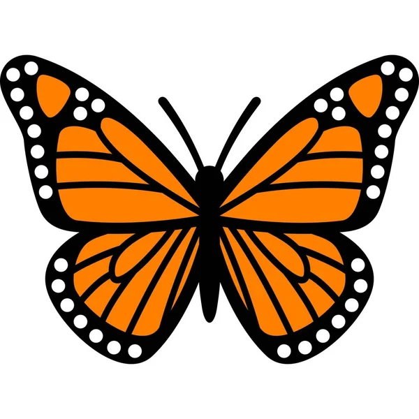 Mooie Butterfly Sticker Met Illustratie Afbeeldingen — Stockfoto