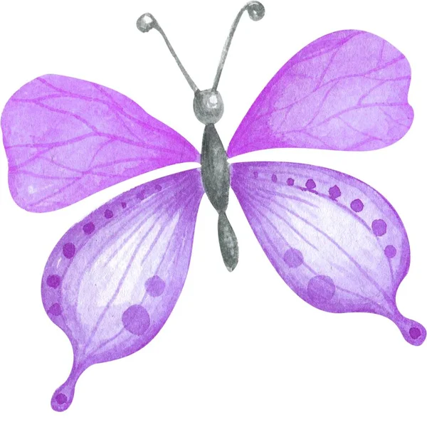 Schöner Schmetterling Sticker Mit Illustrationsbildern — Stockfoto