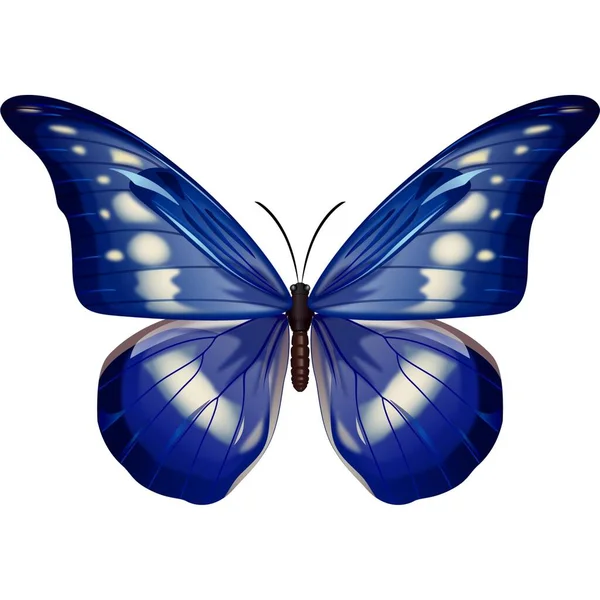 Beautiful Butterfly Sticker Illustration Images — Stock Photo, Image