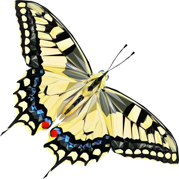 Mooie Butterfly Sticker Met Illustratie Afbeeldingen — Stockfoto