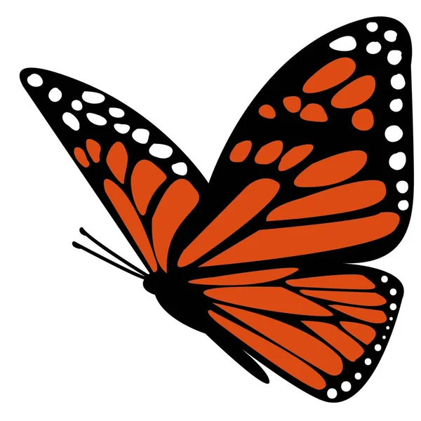 Mooie Butterfly Sticker Met Illustratie Afbeeldingen — Stockfoto