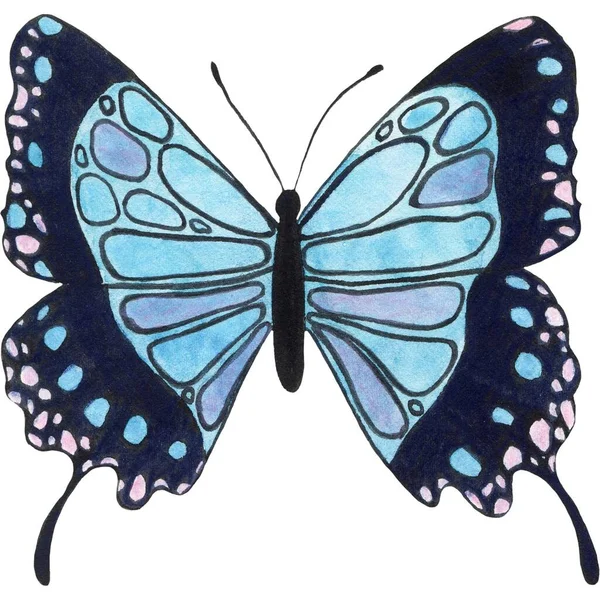 Beau Autocollant Papillon Avec Des Images Illustration — Photo