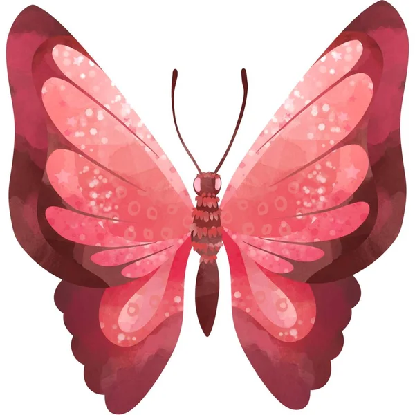 Hermosa Etiqueta Mariposa Con Imágenes Ilustración —  Fotos de Stock