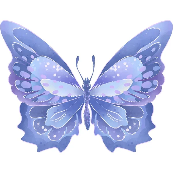 Beautiful Butterfly Sticker Illustration Images — Stock Photo, Image