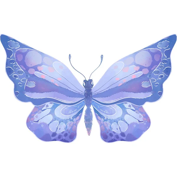 Mooie Butterfly Sticker Met Illustratie Afbeeldingen — Stockfoto