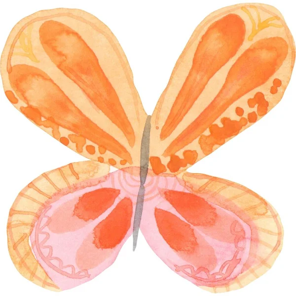 Schöner Schmetterling Sticker Mit Illustrationsbildern — Stockfoto