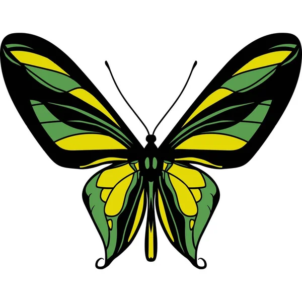 Hermosa Etiqueta Mariposa Con Imágenes Ilustración —  Fotos de Stock