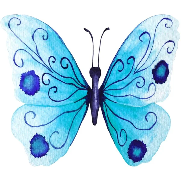 Красивая Наклейка Бабочки Иллюстрационными Изображениями — стоковое фото