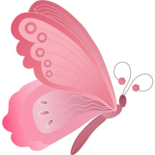 Beau Autocollant Papillon Avec Des Images Illustration — Photo