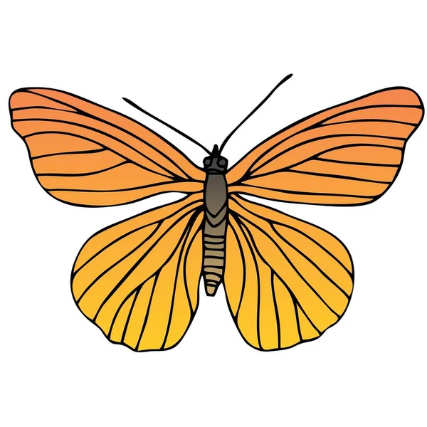 Mooie Butterfly Sticker Met Illustratie Afbeeldingen — Stockfoto