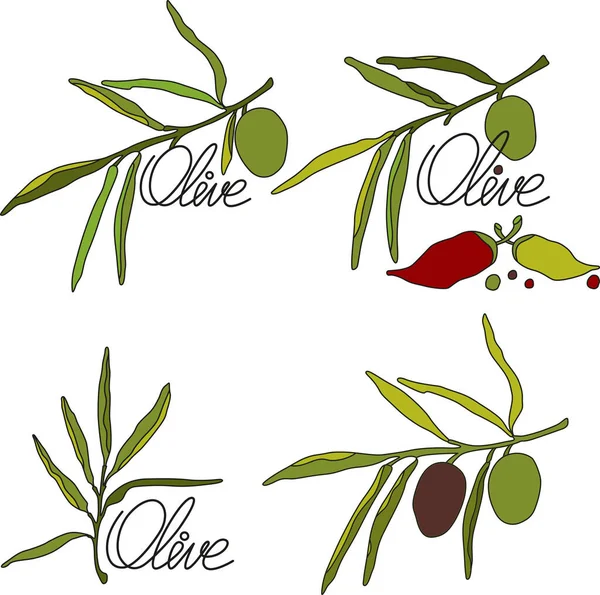 Set logo olive and peppers Stock Image Everypixel