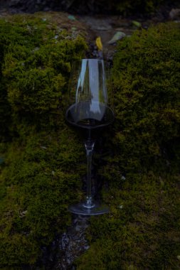 Beautiful glass of wine near moss waterfall