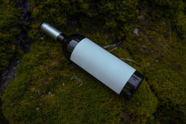 Beautiful bottle of wine near moss waterfall