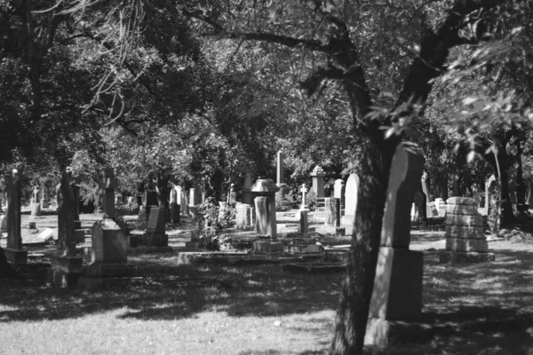 Old Graves Brixton Cemetery — 图库照片