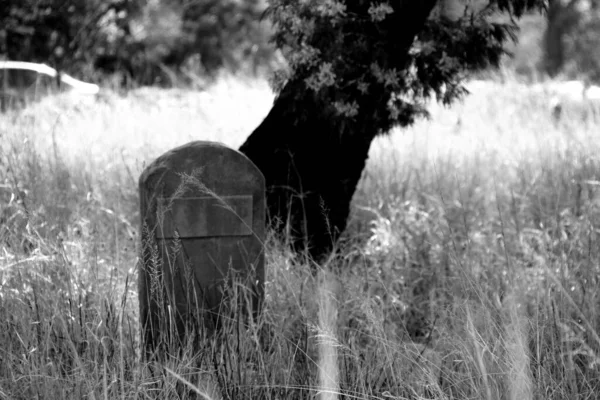 Graves seen at old Rietfontein Hospital in Johannesburg