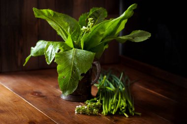 horseradish leaves on dark background