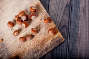 hazelnut on dark background. selective focus