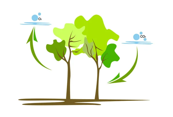 Illustration Vector Graphic Oftrees Releasing Oxygen Absorbing Carbon Dioxide Environmental — Stockový vektor