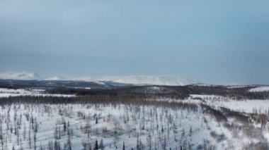 A flight over the dense winter Siberian forest in the afternoon. Mountain view from a copter. Forward motion (movement) of the copter. 4K 