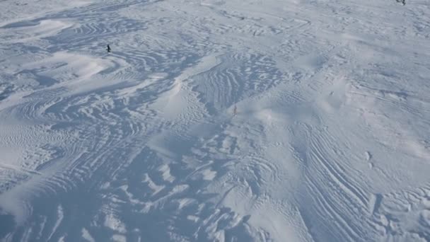 Top View Snow Field Sun Snow Dunes Shine Sun View — Stock Video