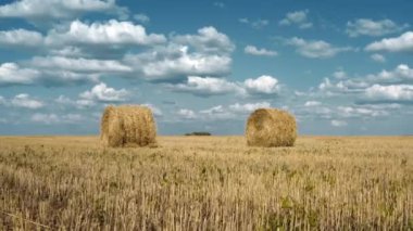 Haystacks on a yellow sunny field. The camera is moving forward. 4K