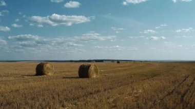Haystacks on a yellow wheat field. Crop is harvested. The camera is moving to the right. Top view. 4K