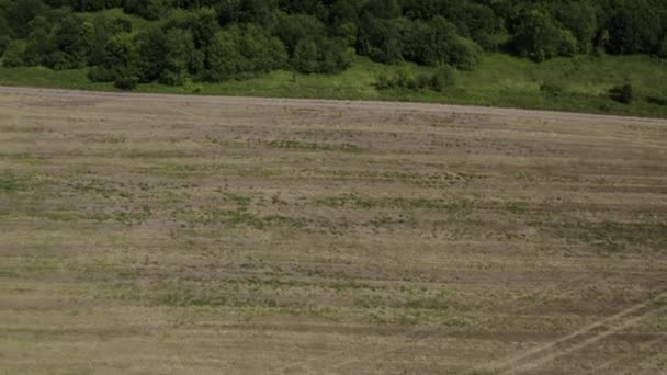 Land Bird Eye View Camera Moving Horizon Goes Out Green — Stockvideo